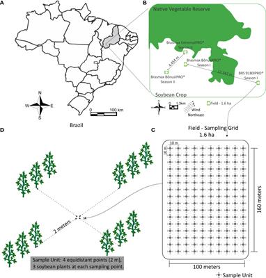 Population fluctuation and distribution of bemisia tabaci MEAM1 (Hemiptera: Aleyrodidae) in soybean crops